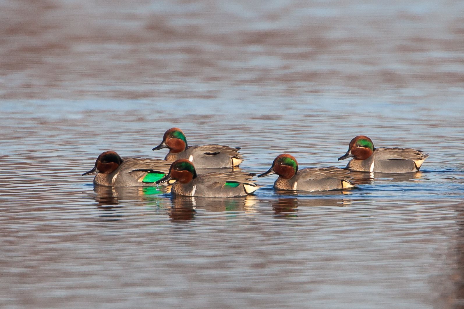 Red River National Wildlife Refuge