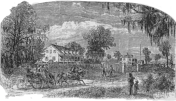 Woodland Plantation — historical photo