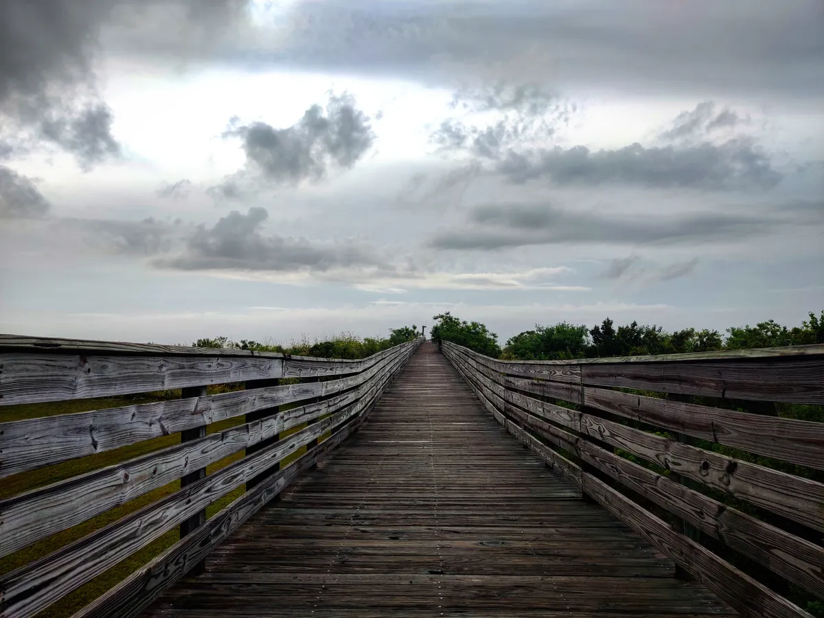 Grand Isle Migratory Bird Celebration