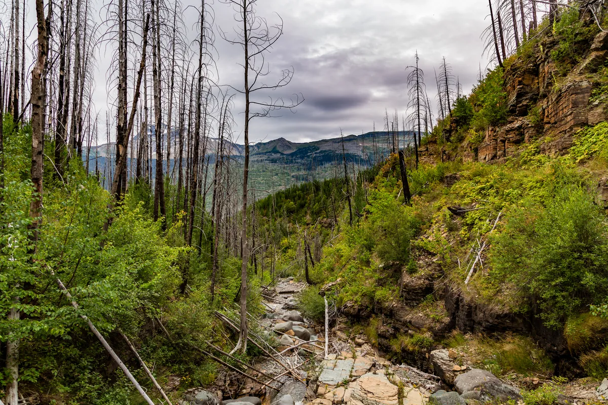 Glacier National Park