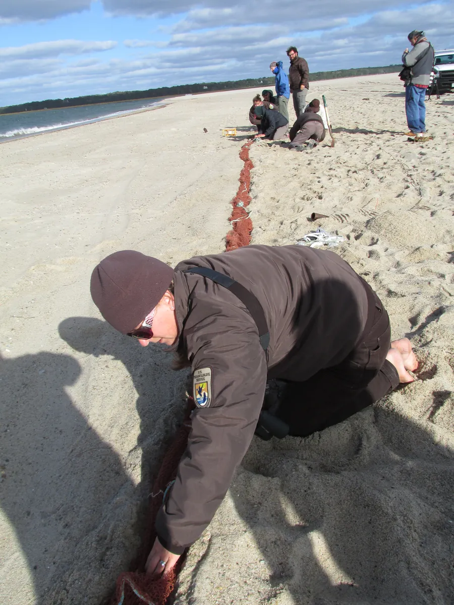 Monomoy National Wildlife Refuge
