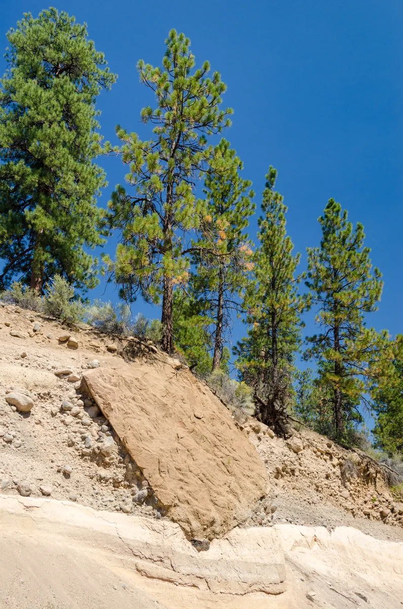 Shevlin Park