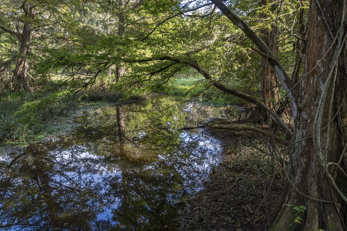 Northlake Nature Center