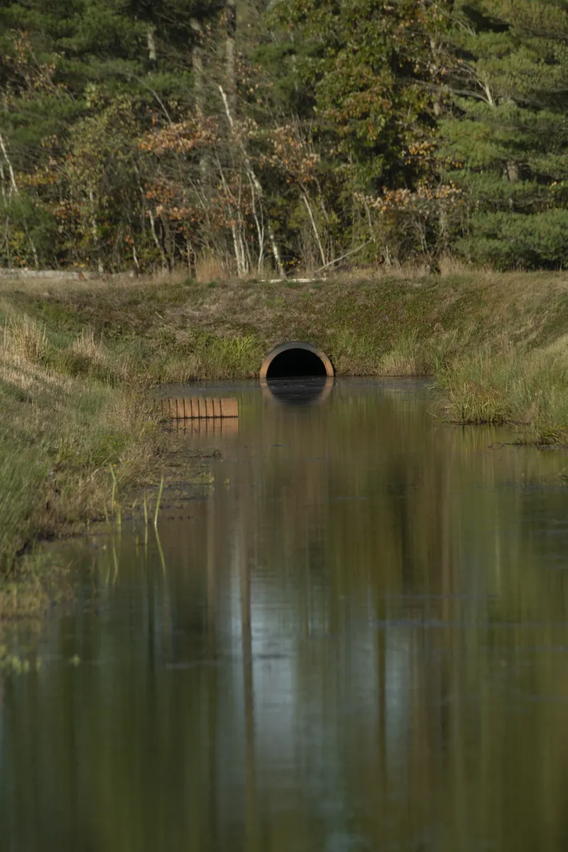 Harwich Cranberry Bogs and Cranberry Harvest Festival