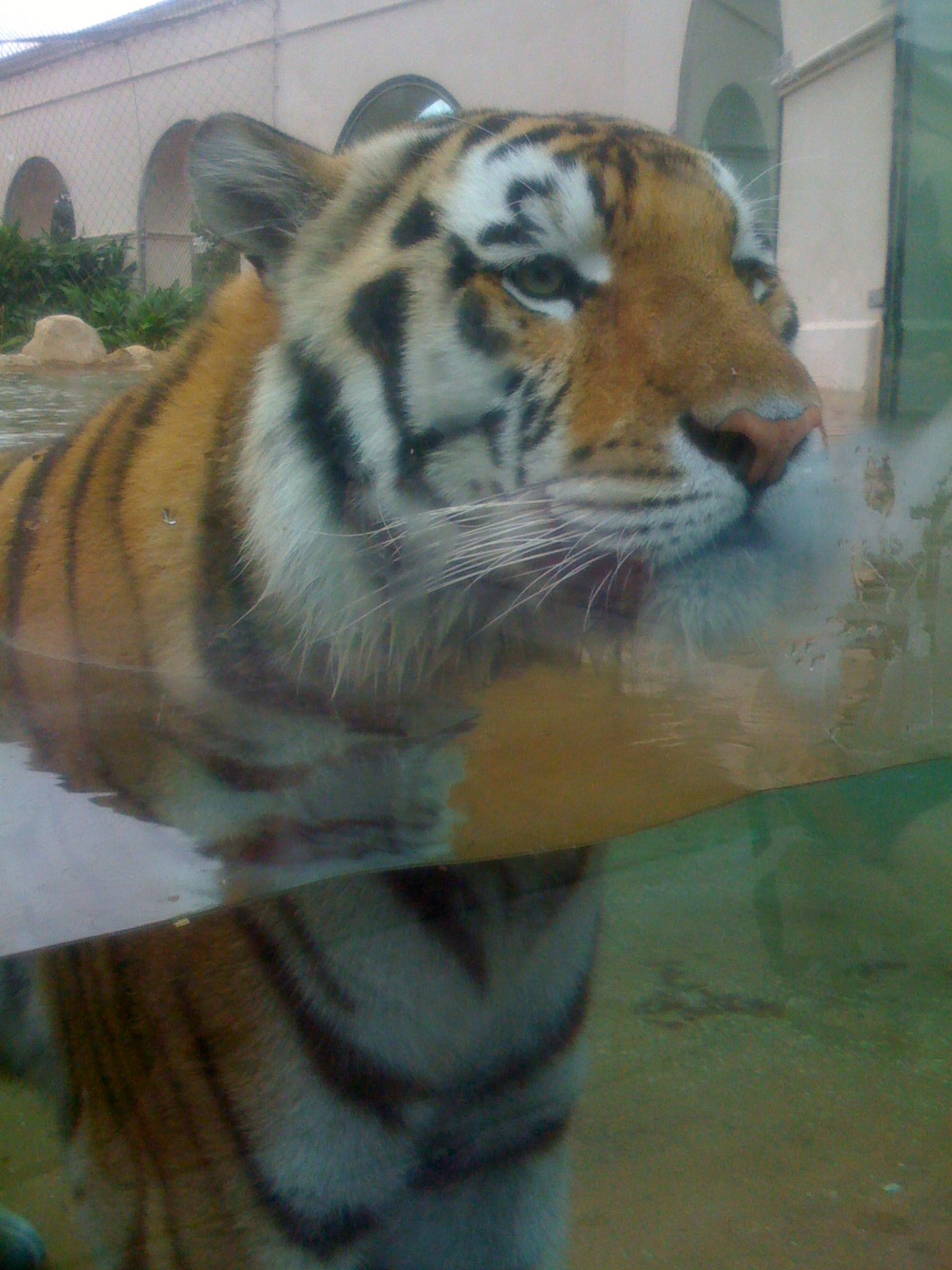 Baton Rouge Zoo — BREC