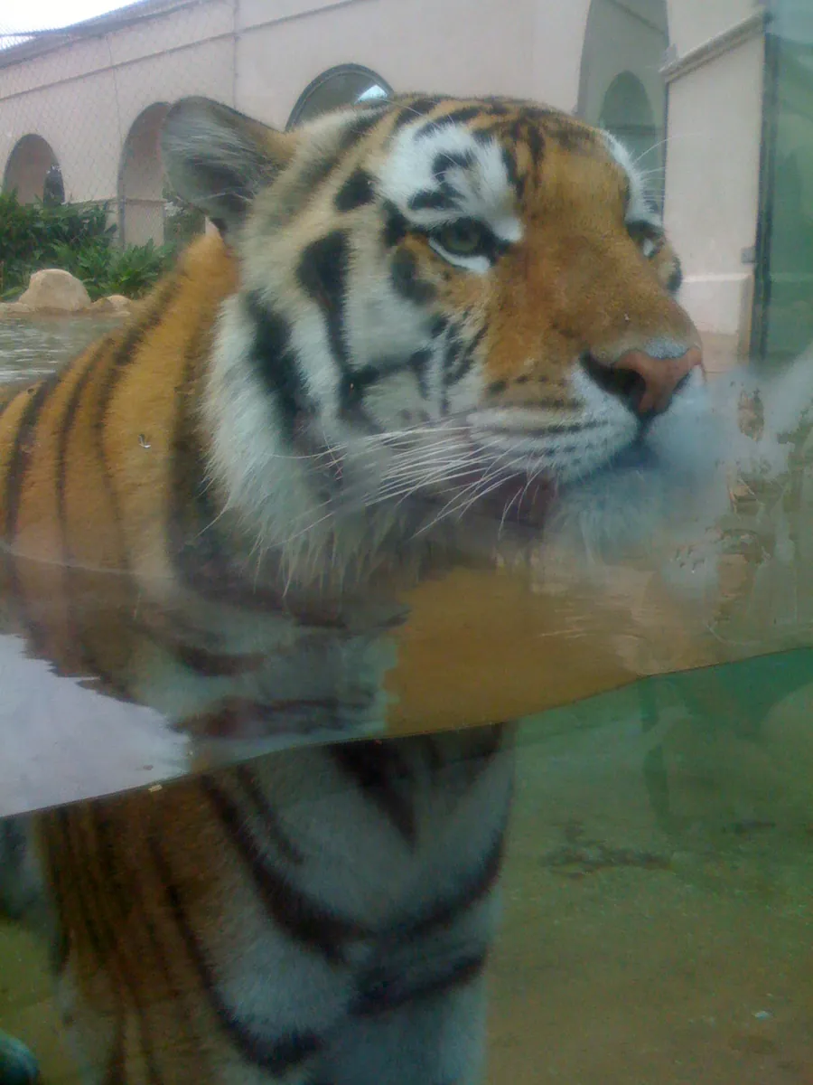 Baton Rouge Zoo — BREC