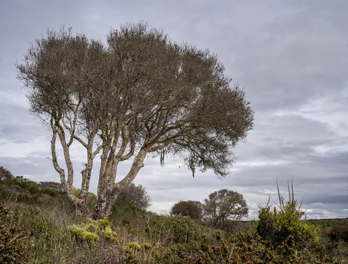 Fort Ord National Monument