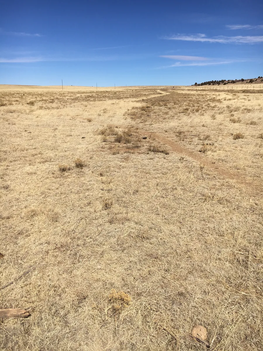 Santa Fe Trail