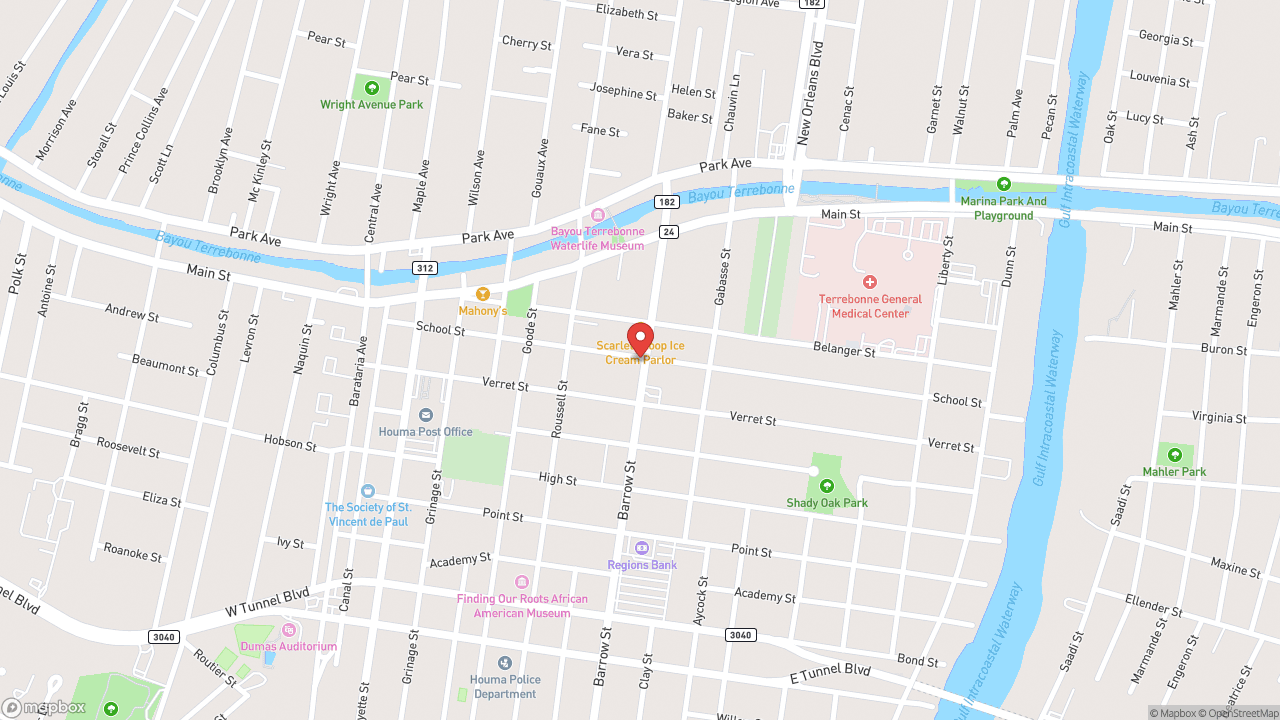 Houma's Mardi Gras