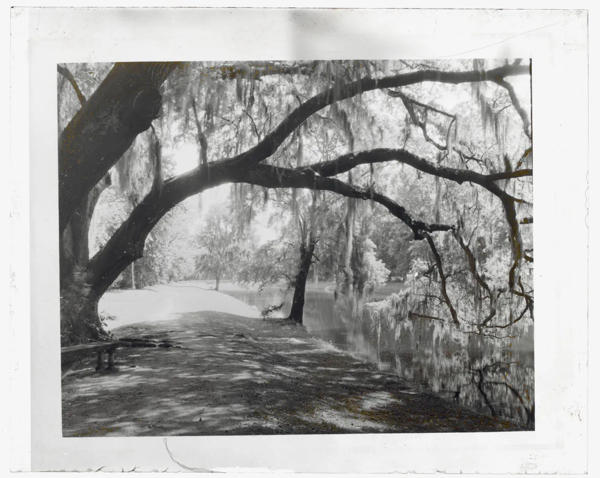 Middleton Place (historical)