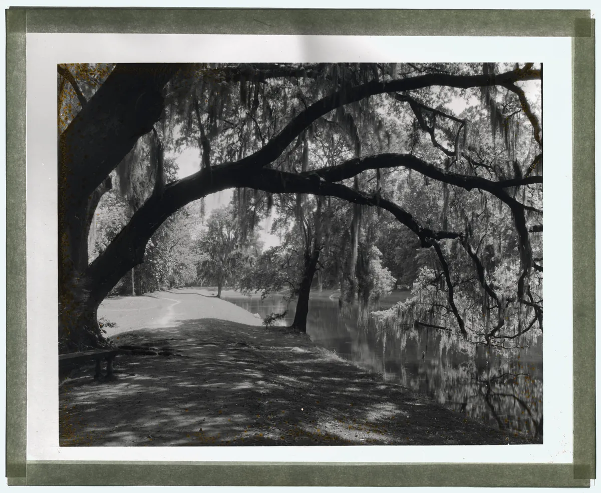 Middleton Place — historical photo