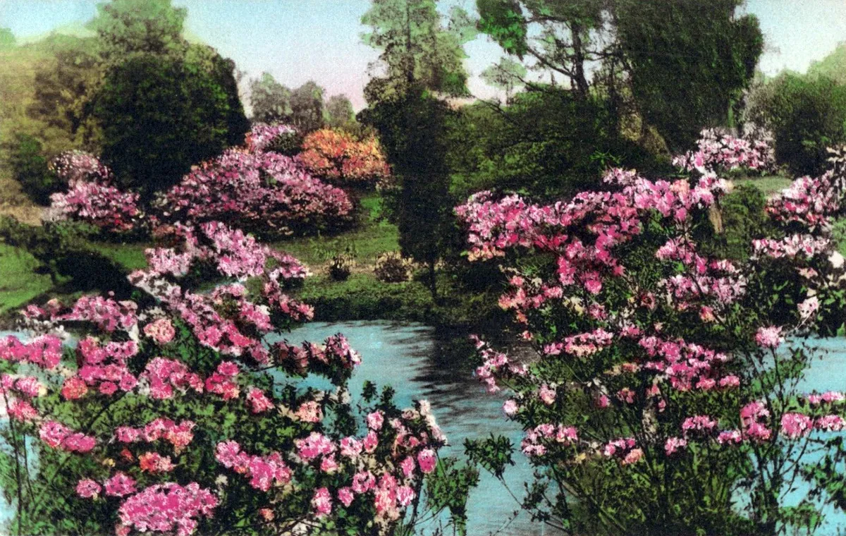Middleton Place — historical photo