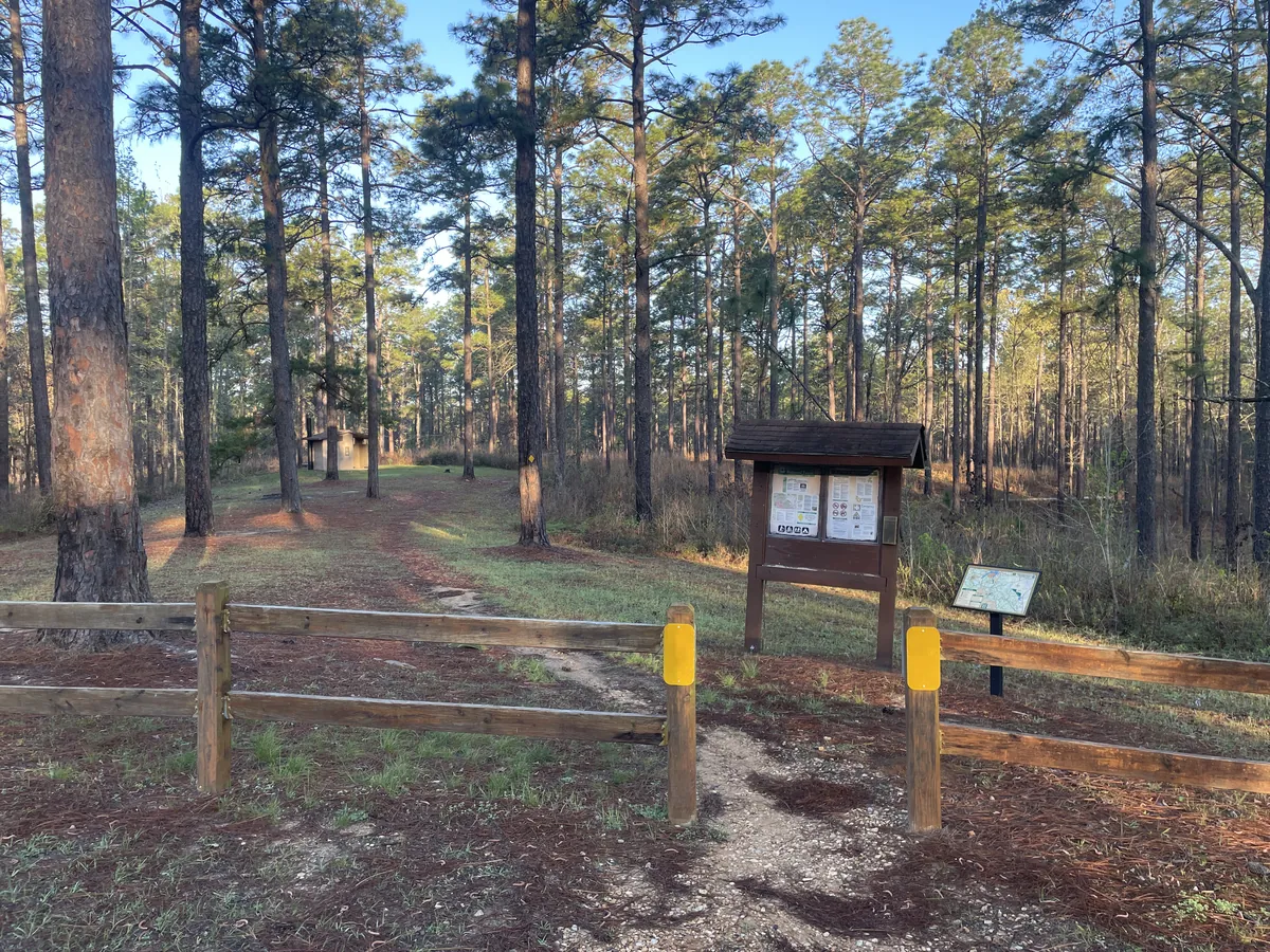 Kisatchie National Forest