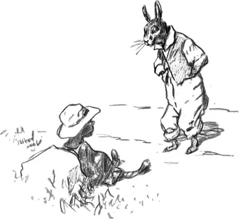 Laura Plantation Creole Folktales and Compair Lapin (Br'er Rabbit) Tradition