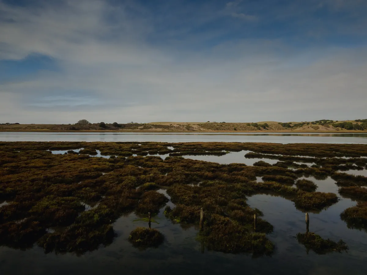 Elkhorn Slough National Estuarine Research Reserve