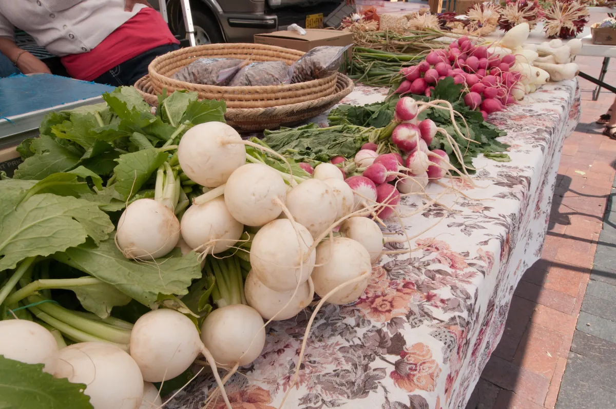 Sante Fe Farmers Market