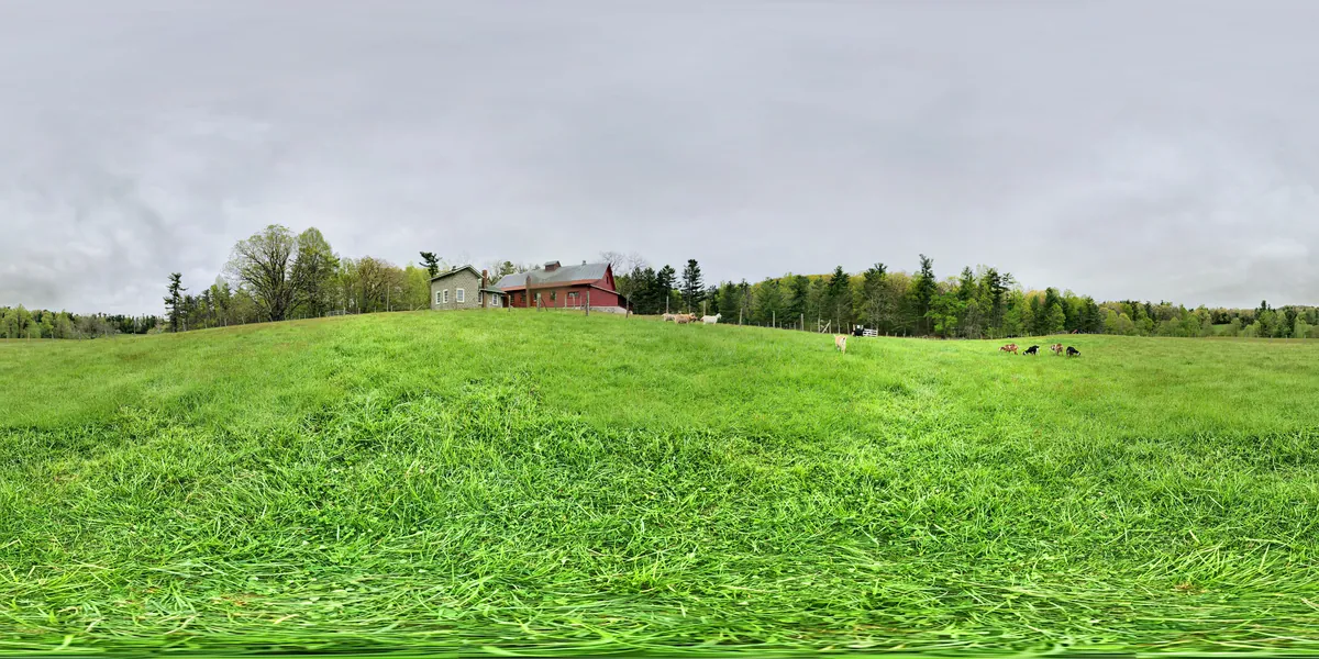 Connemara Goat Dairy / Sandburg Goats