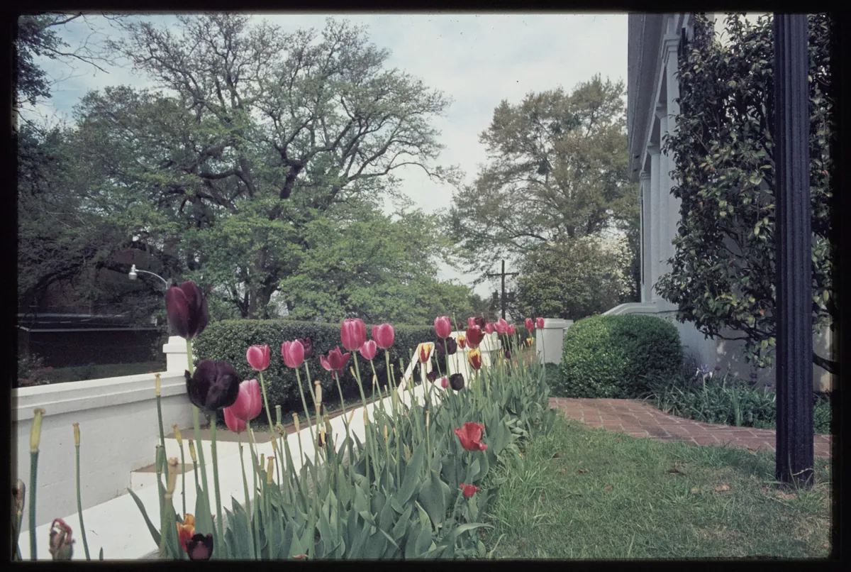 Natchez Pilgrimage — Spring and Fall Tours (Living Tradition) — historical photo