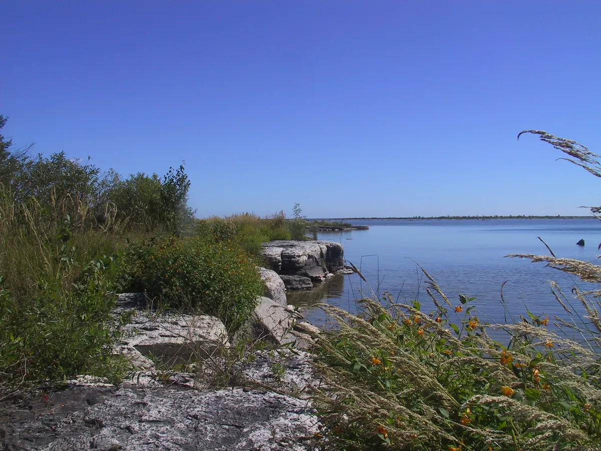 Newport State Park