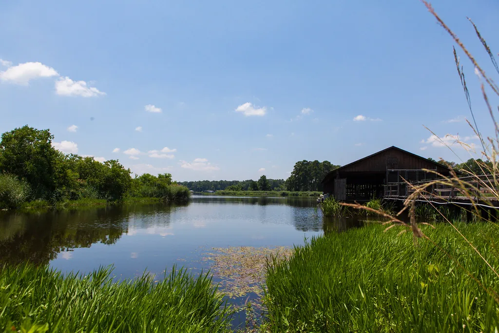 Cypress Black Bayou Recreation Area