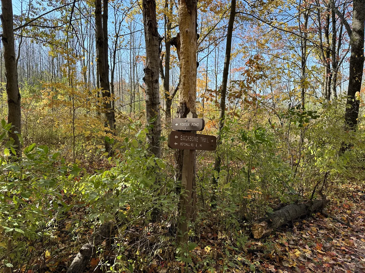 Finger Lakes National Forest