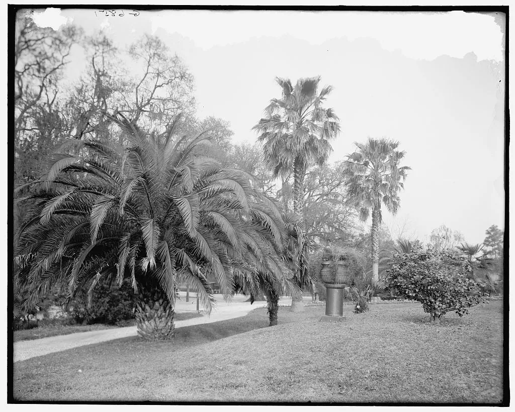 Audubon Park — historical photo
