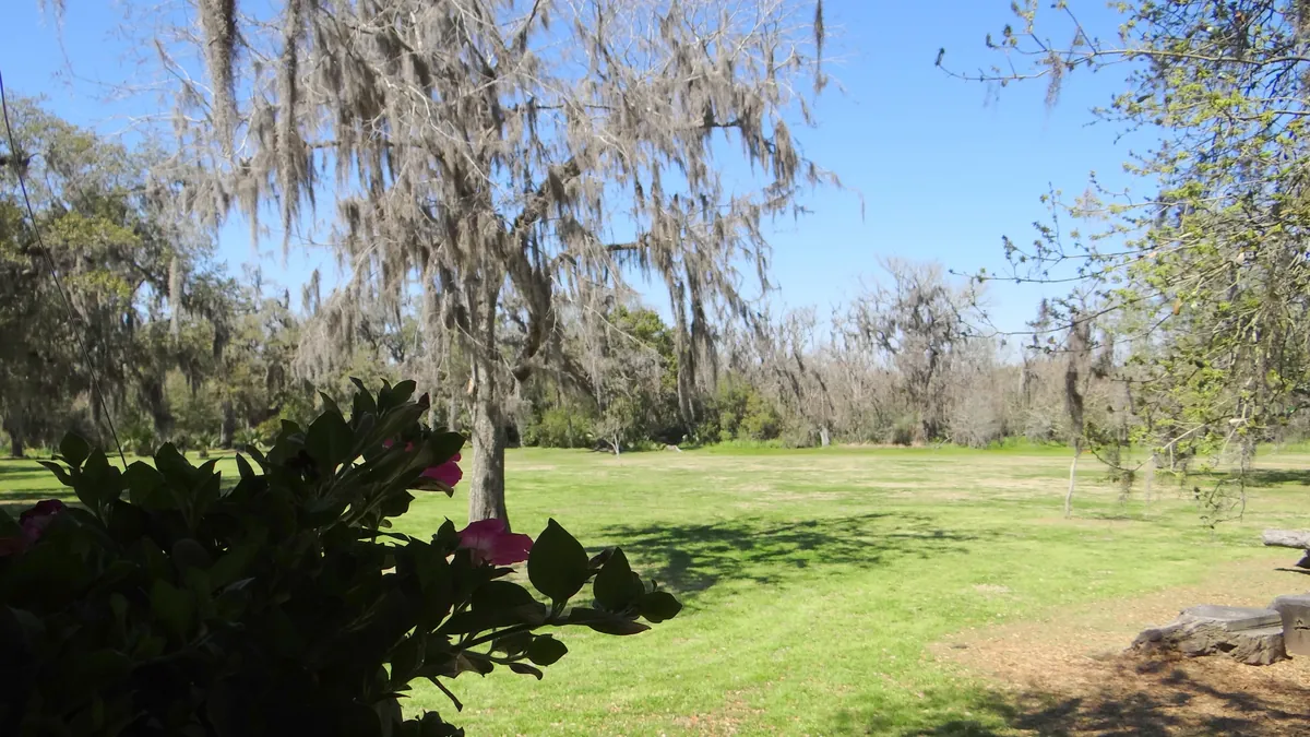 Avery Island — Salt, Pepper, and 163 Feet