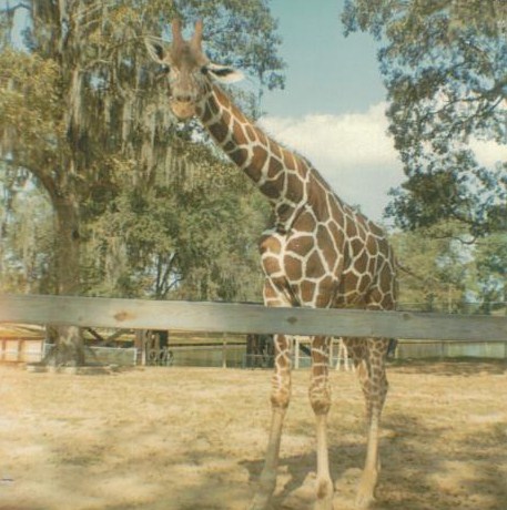 Louisiana Purchase Gardens & Zoo (historical)