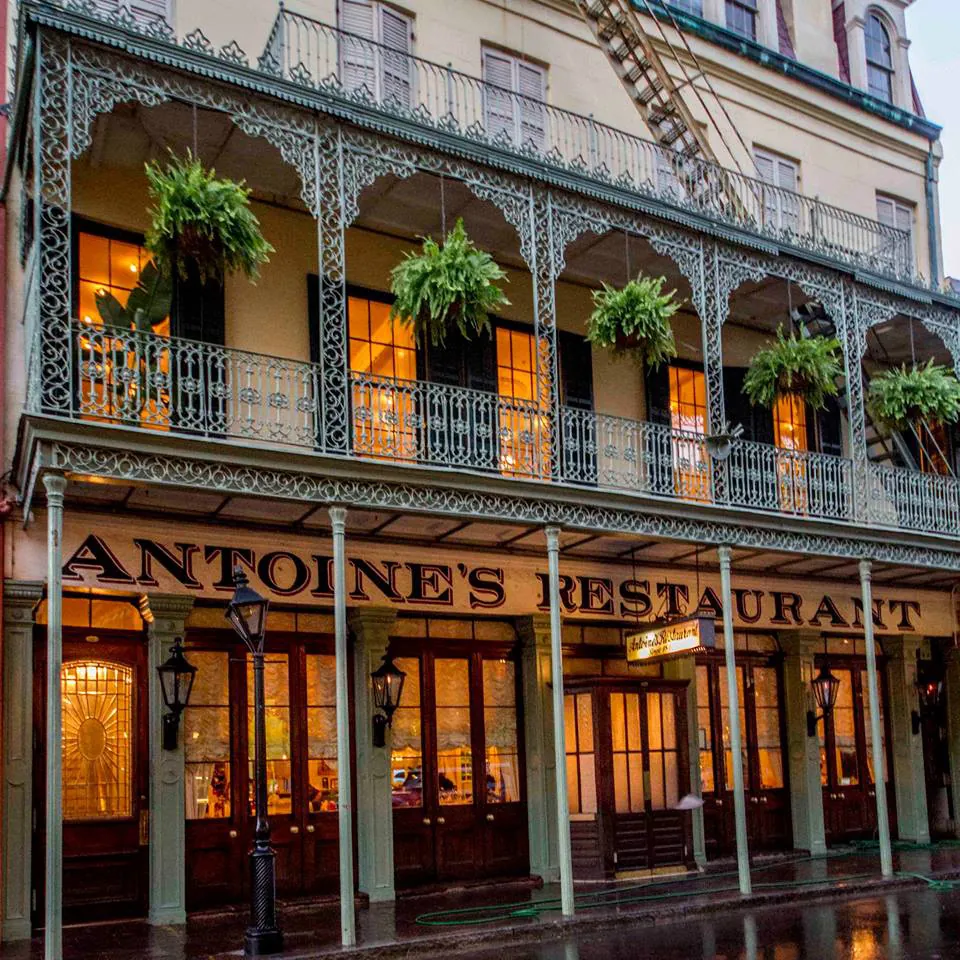 Antoine's Wine Cellar & Archive