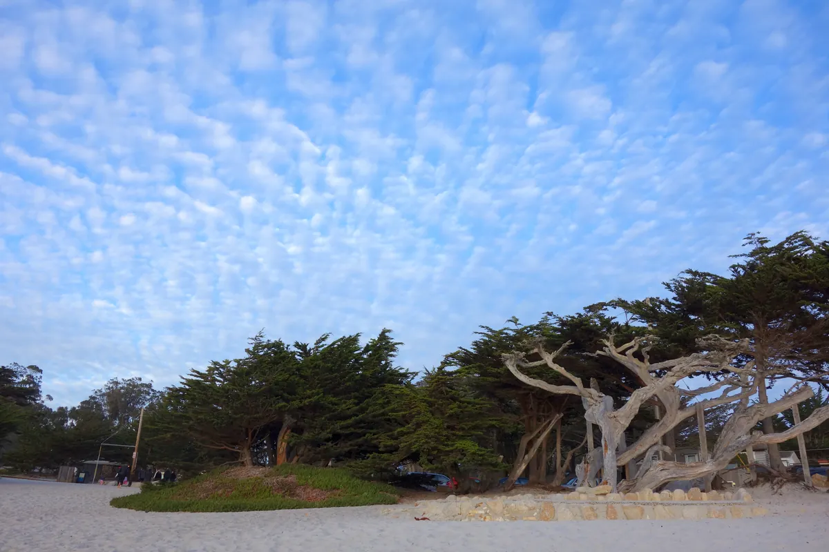 Carmel Beach