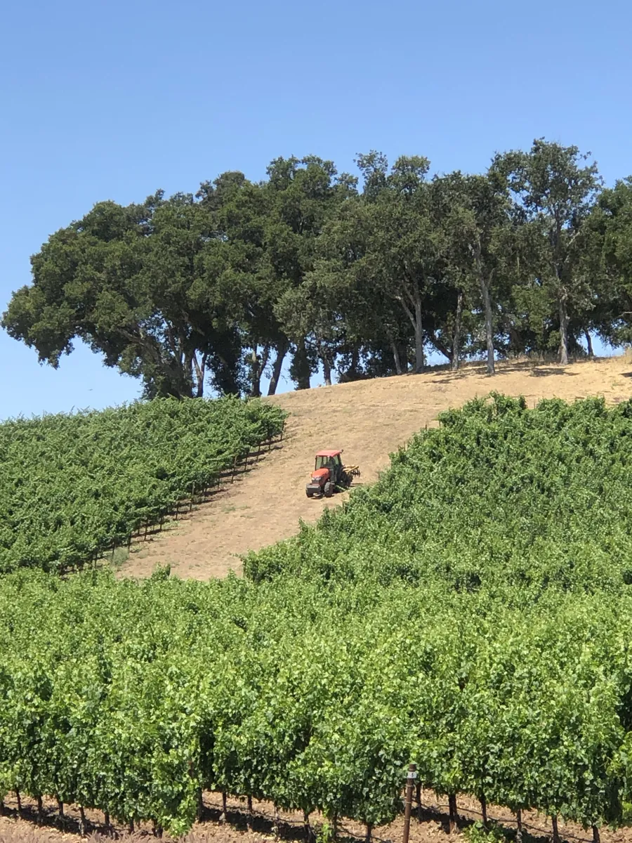 JUSTIN Winery