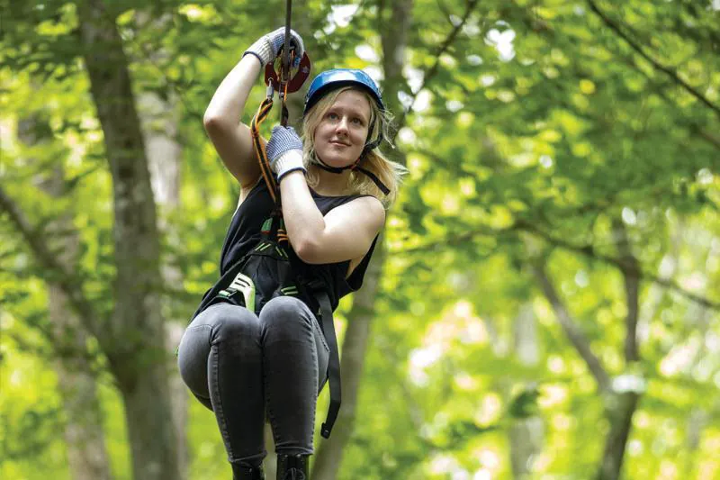 Treetop Quest Ziplines