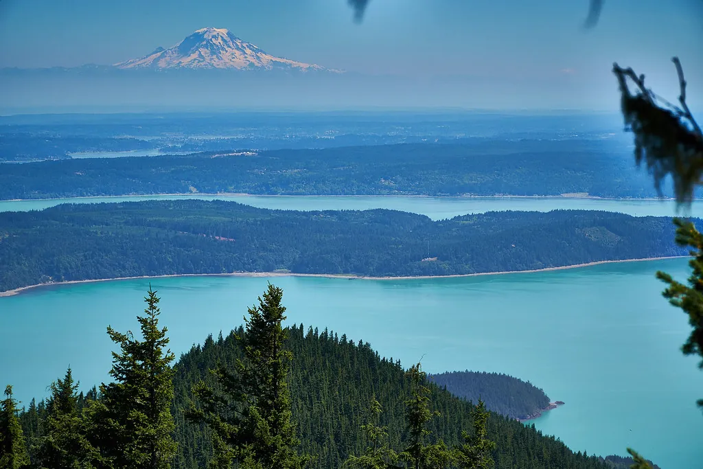Mount Walker Viewpoint