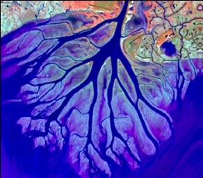 Wax Lake Delta — Where Louisiana Is Growing