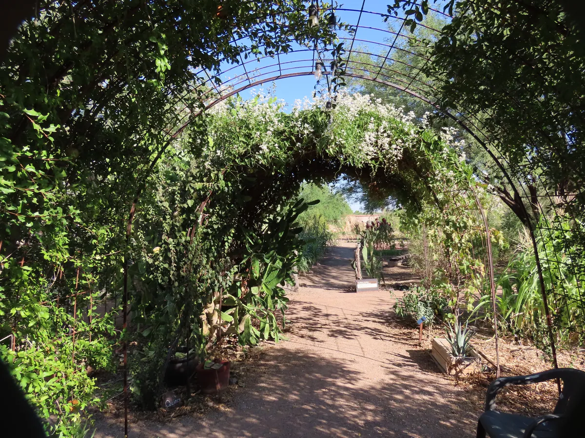 Mission Garden (Tucson's Birthplace)