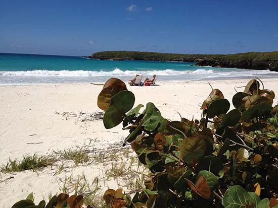 Vieques National Wildlife Refuge