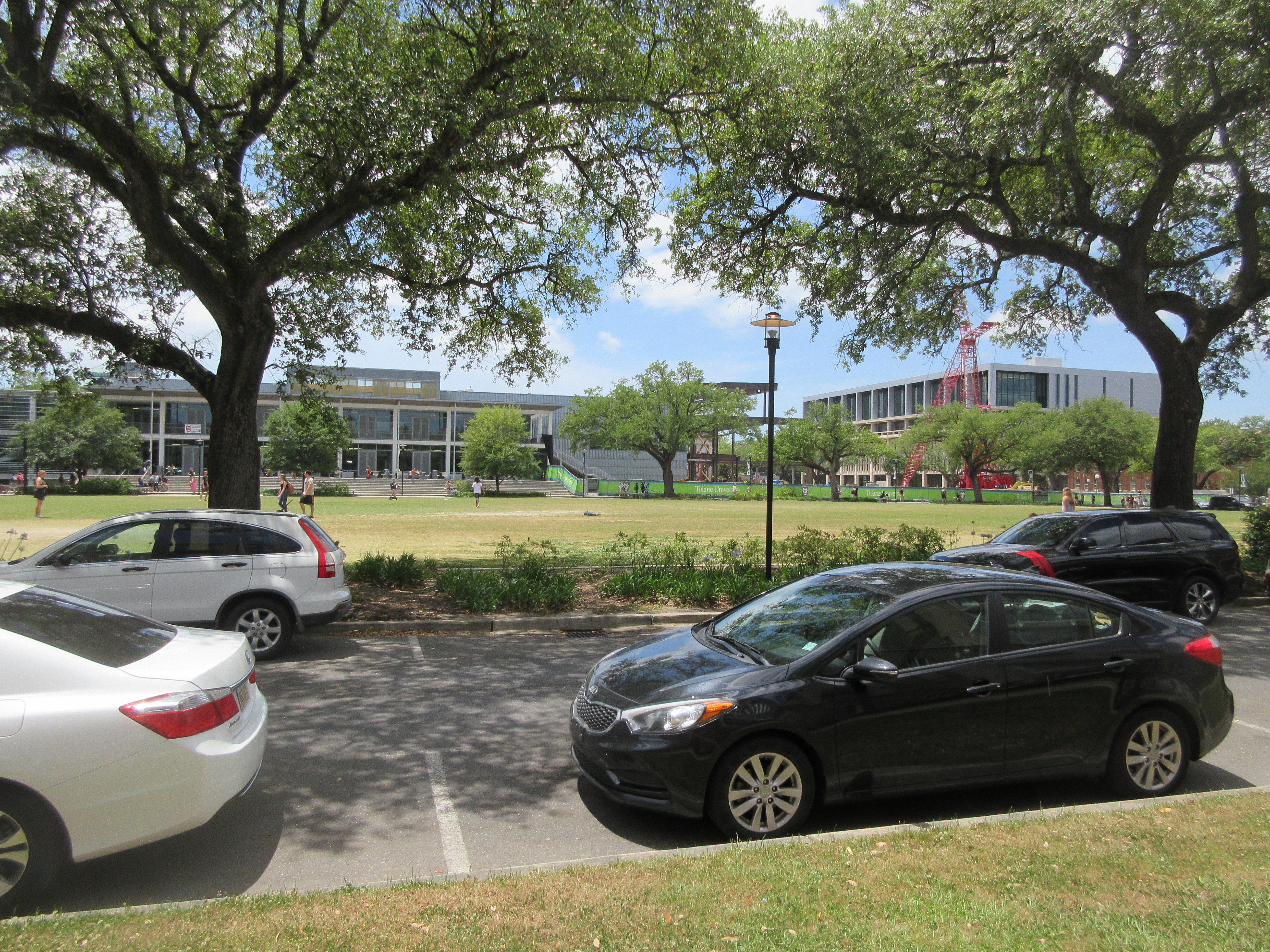 Tulane University