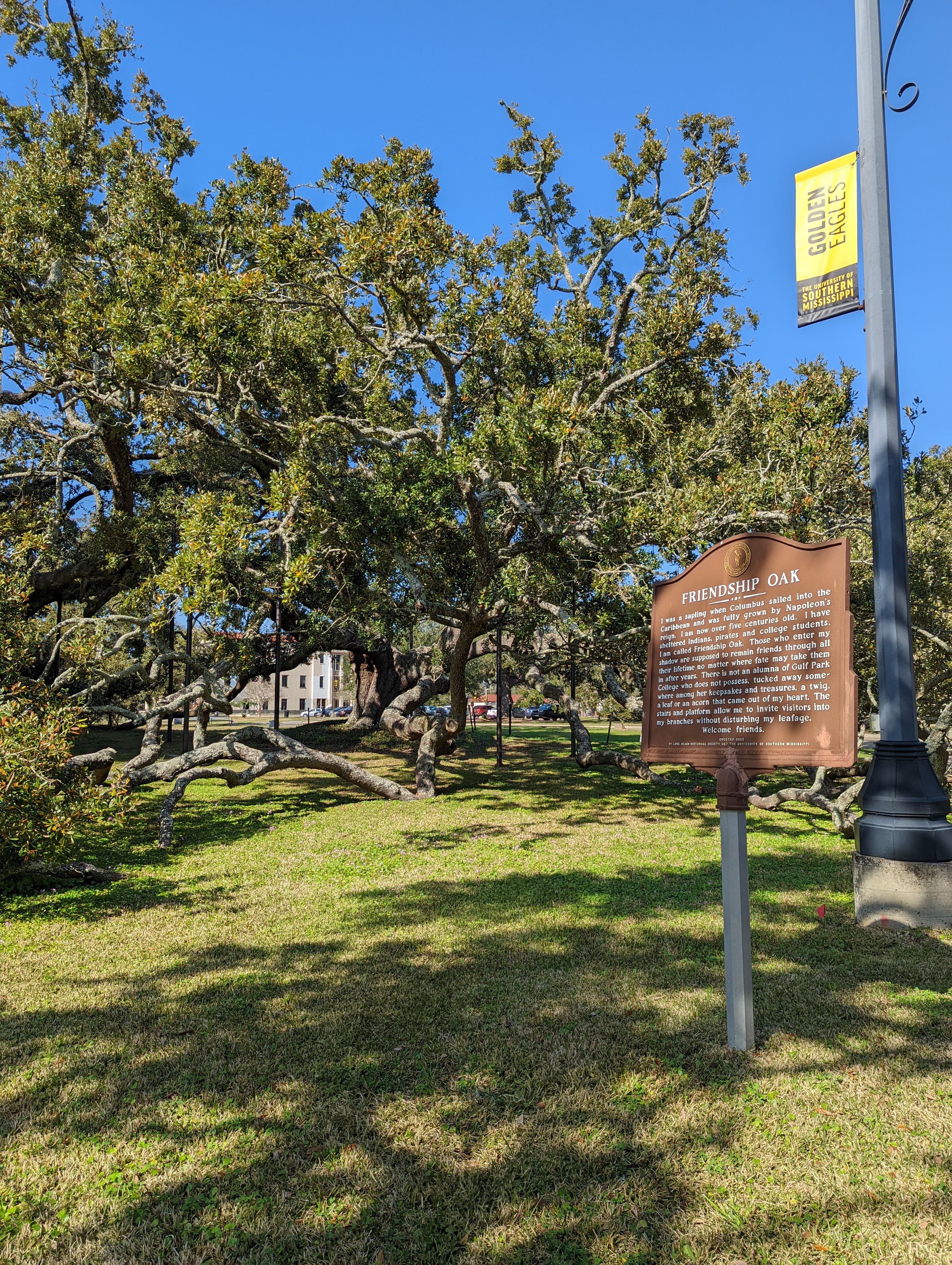 Camille to Katrina — The Coast That Keeps Coming Back