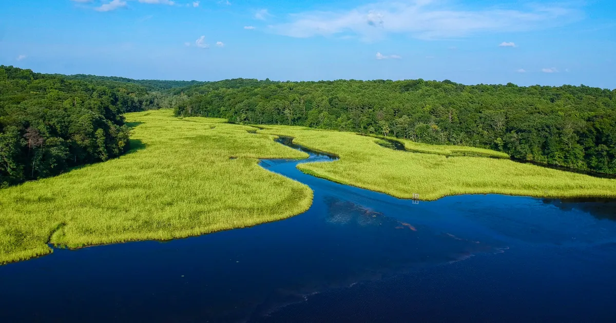Rappahannock River Kayak and Canoe Access (Virginia Outdoor Center)