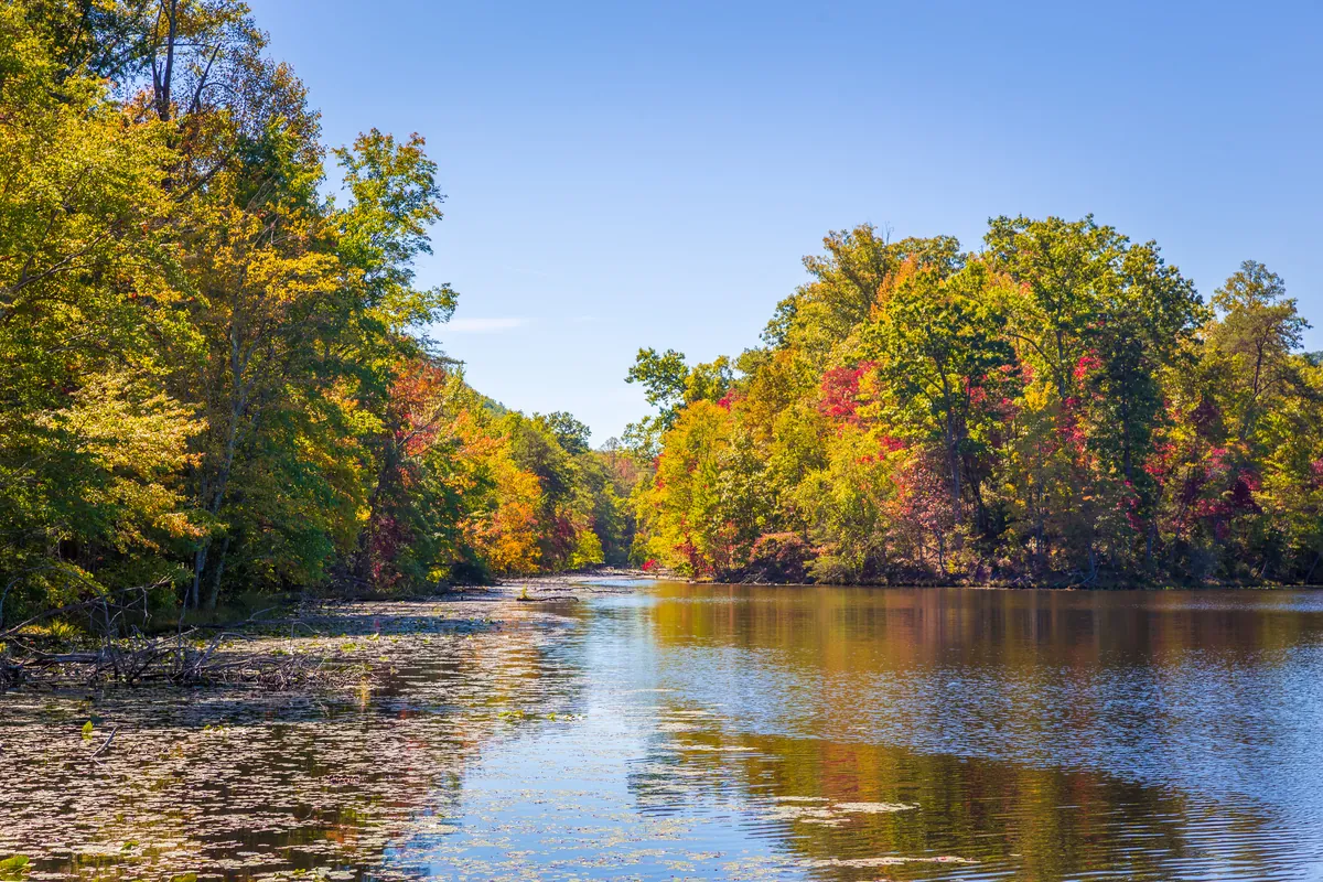 Bays Mountain Park & Planetarium