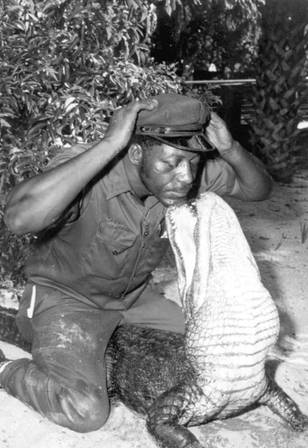 St. Augustine Alligator Farm Zoological Park — historical photo
