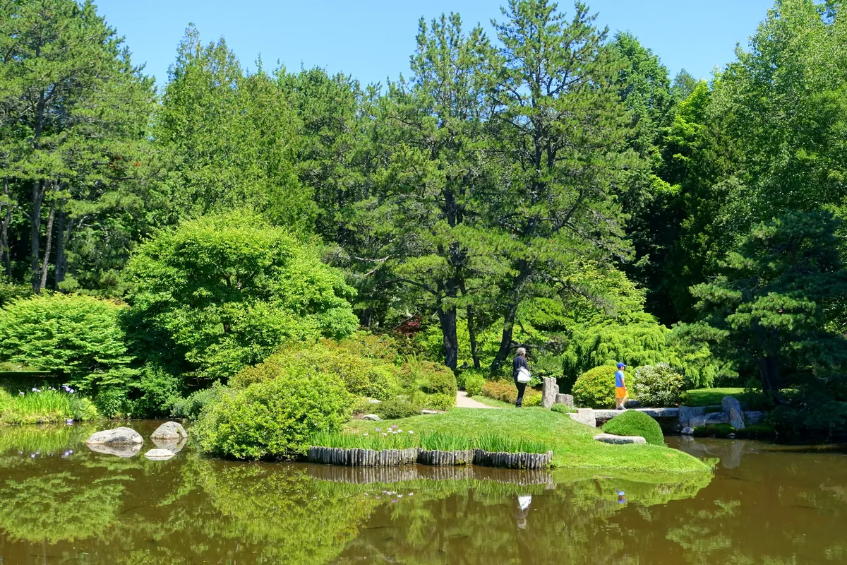 Asticou Azalea Garden