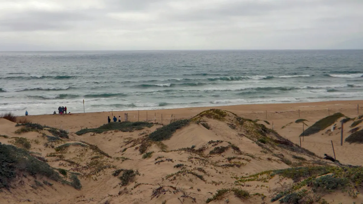 Oceano Dunes State Vehicular Recreation Area (Pismo Dunes)