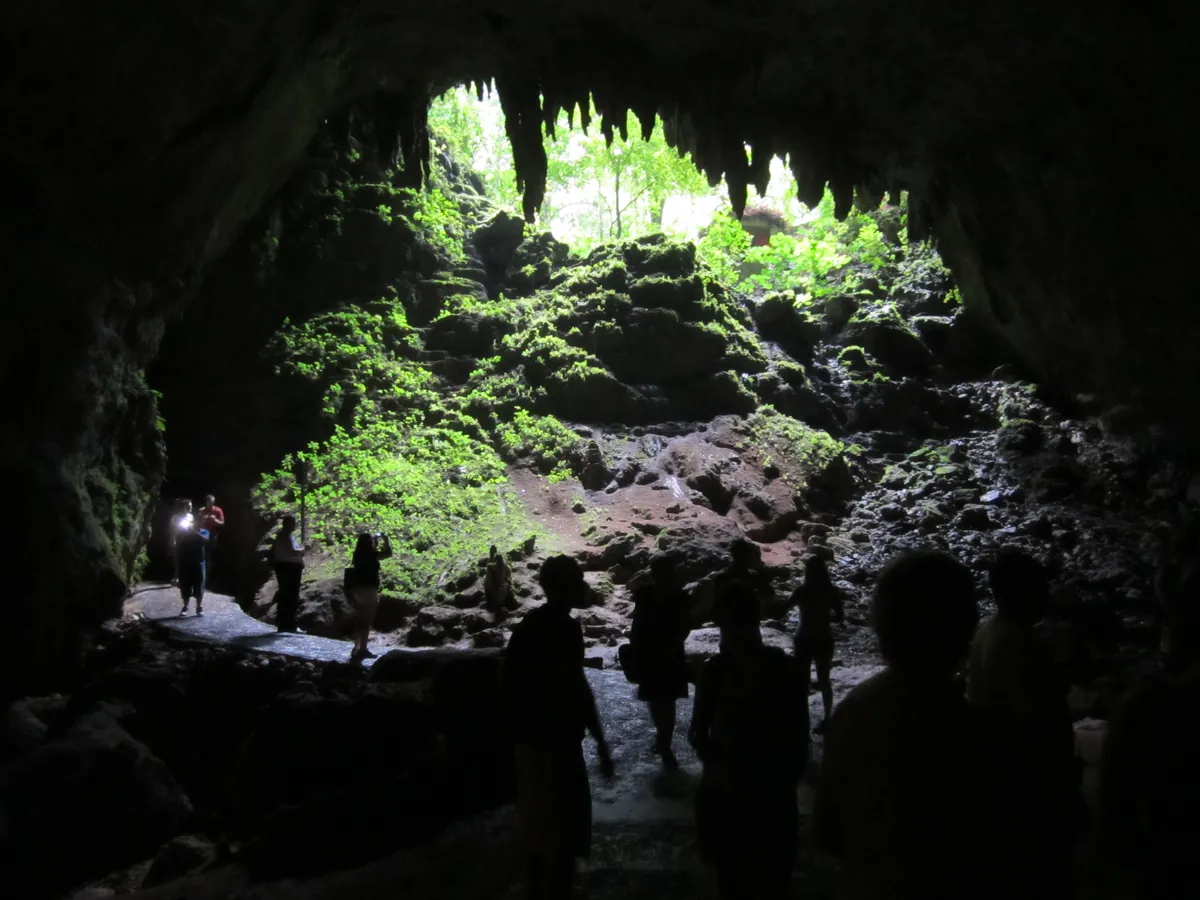 Parque Nacional las Cavernas del Río Camuy (Camuy River Cave Park)