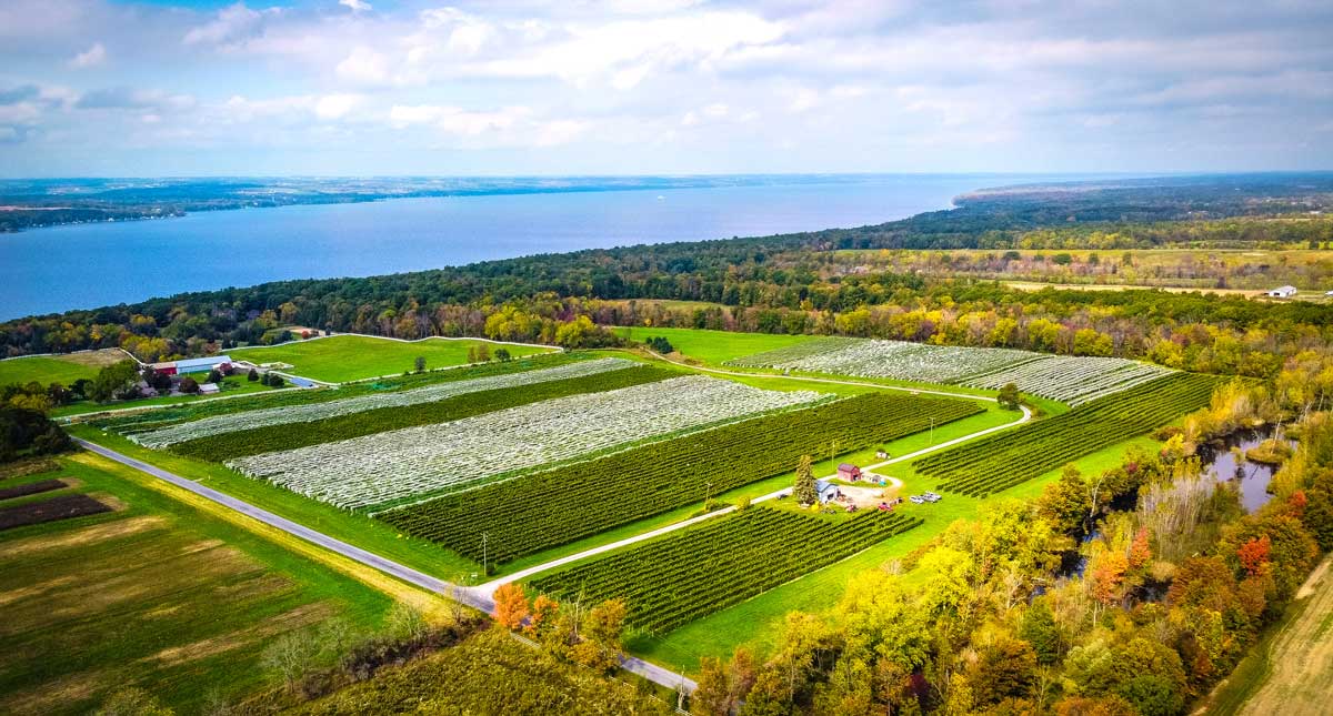 Ravines Wine Cellars