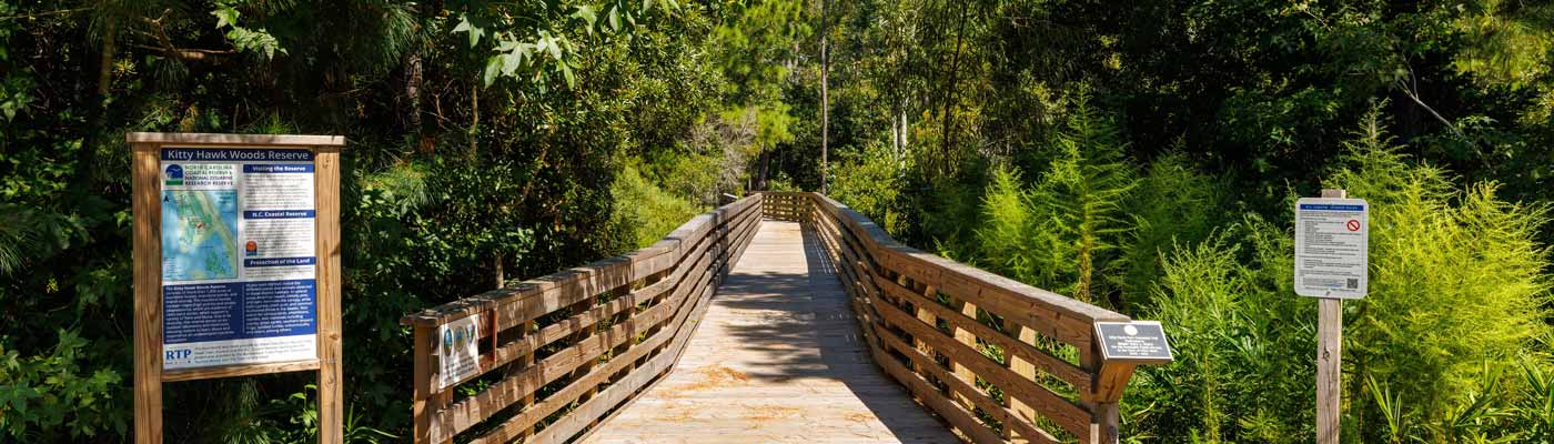 Kitty Hawk Woods Coastal Reserve