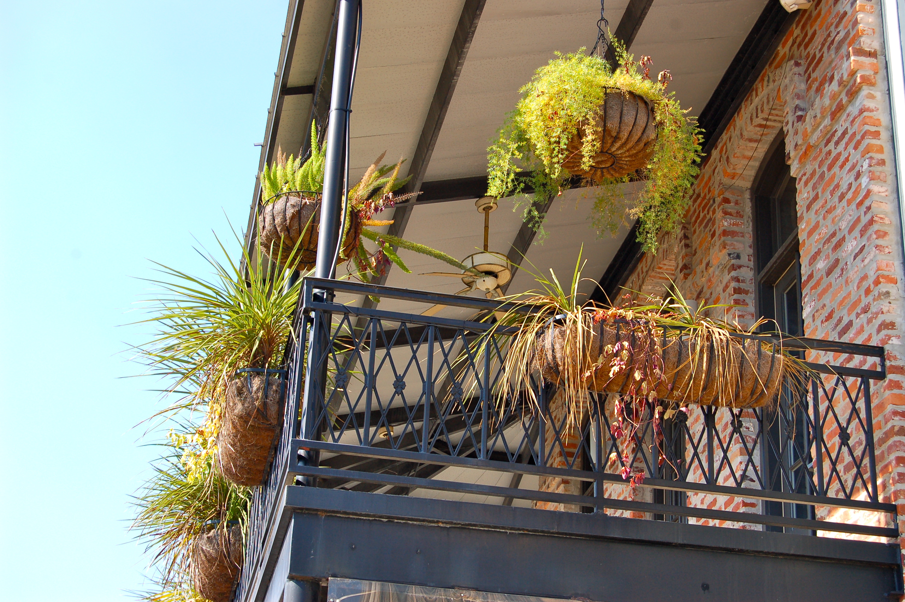 New Iberia — The Queen City of the Teche
