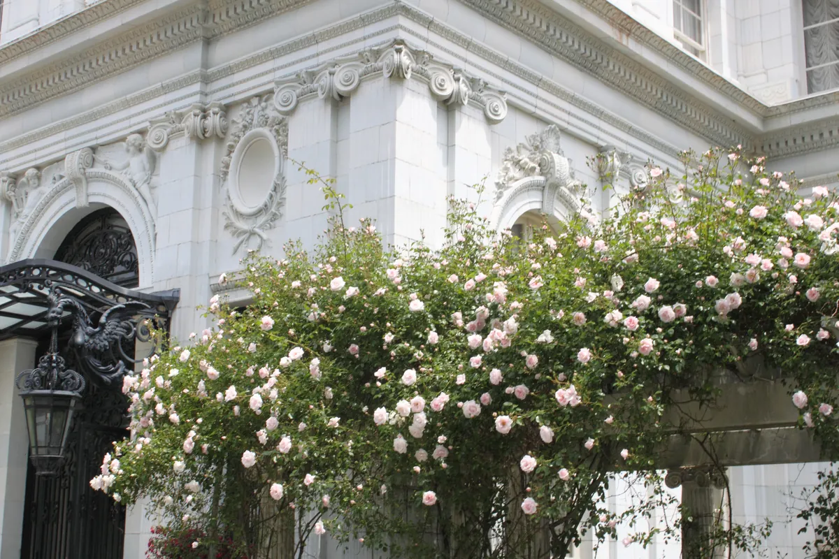 Rosecliff