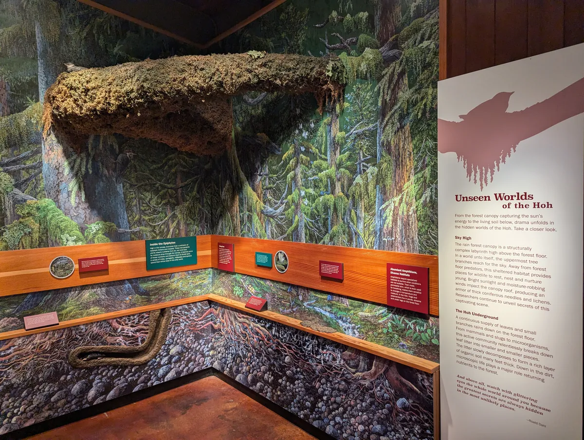 Hoh Rain Forest Visitor Center