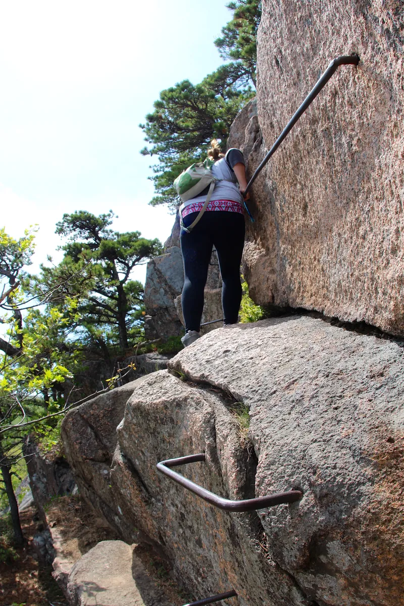 The Beehive Trail